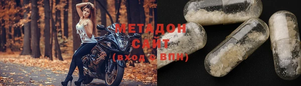 прущие грибы Аркадак