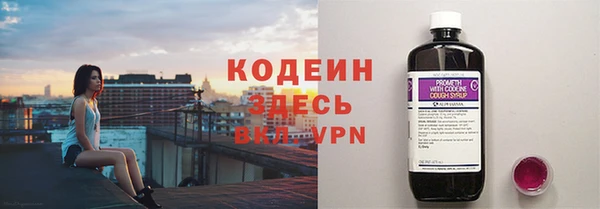 прущие грибы Аркадак