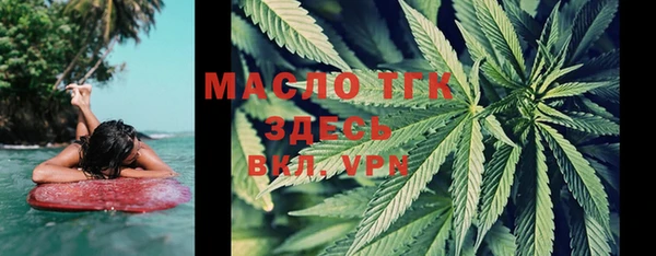 прущие грибы Аркадак