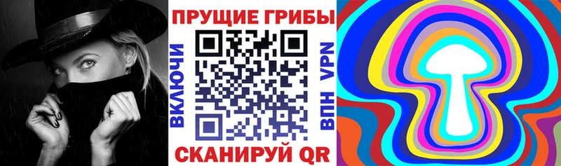 Псилоцибиновые грибы прущие грибы  цена   Воронеж 